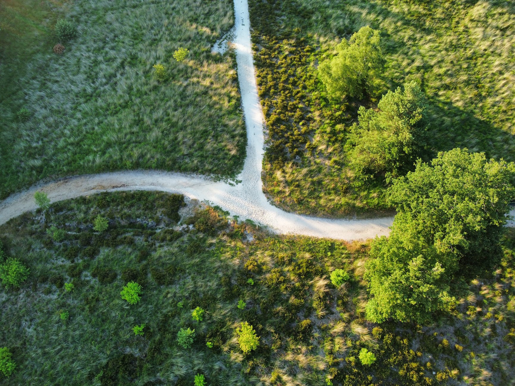 drone shot of pathways