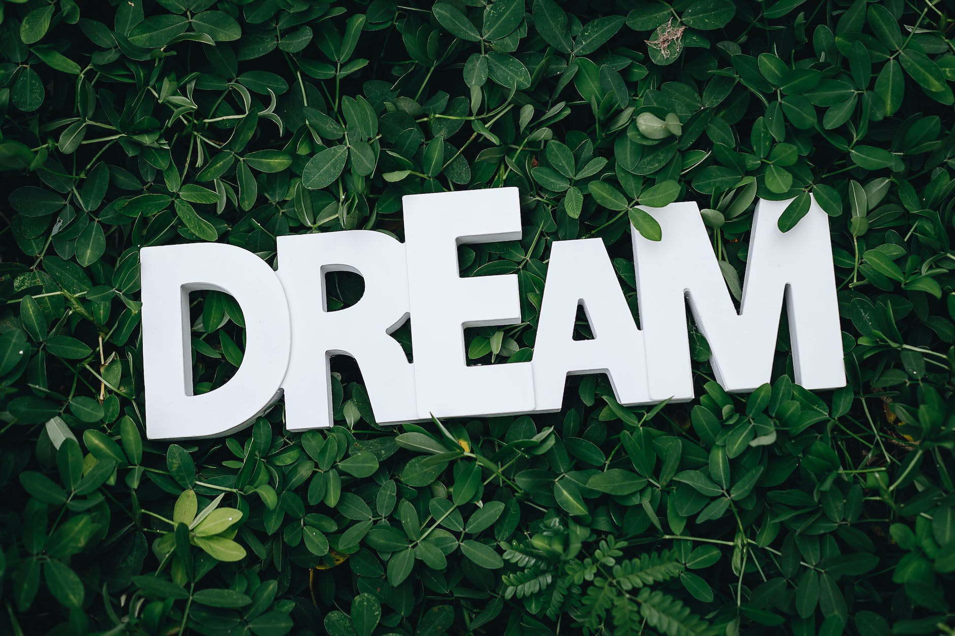 Do Your Dreams Come True? If so, What Was That Dream About and How Did it Come True?